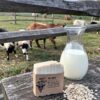 The GOat Goat Milk Soap